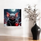 Preview: Little Bat